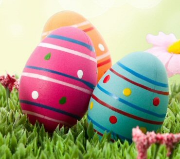 Hotel Parco degli ulivi - Scerne di Pineto