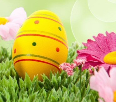 Hotel Parco degli ulivi - Scerne di Pineto